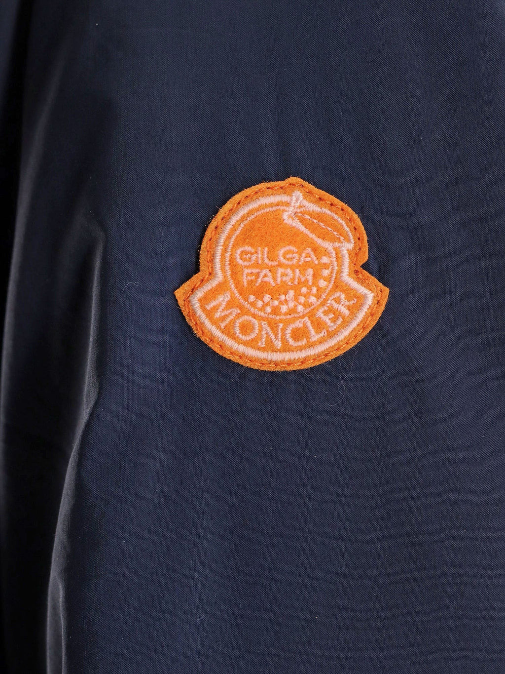 Moncler Genius Caracara Moncler x Gilga Farm designed by Donald Glover jacket