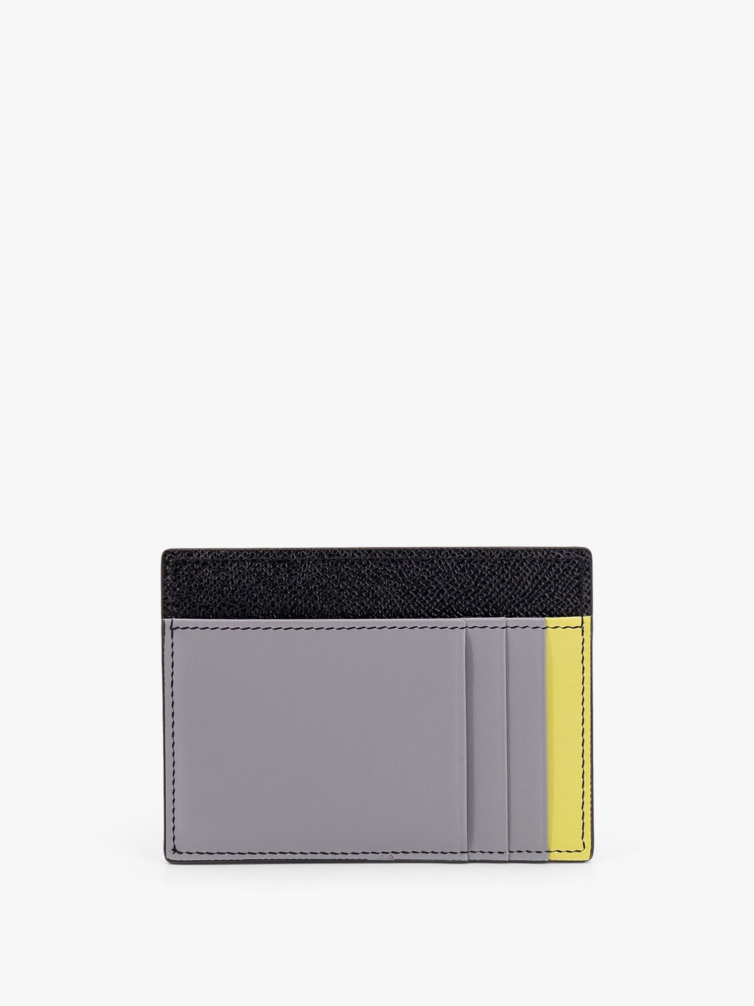 Dolce & Gabbana Saffiano leather card holder with animalier insert